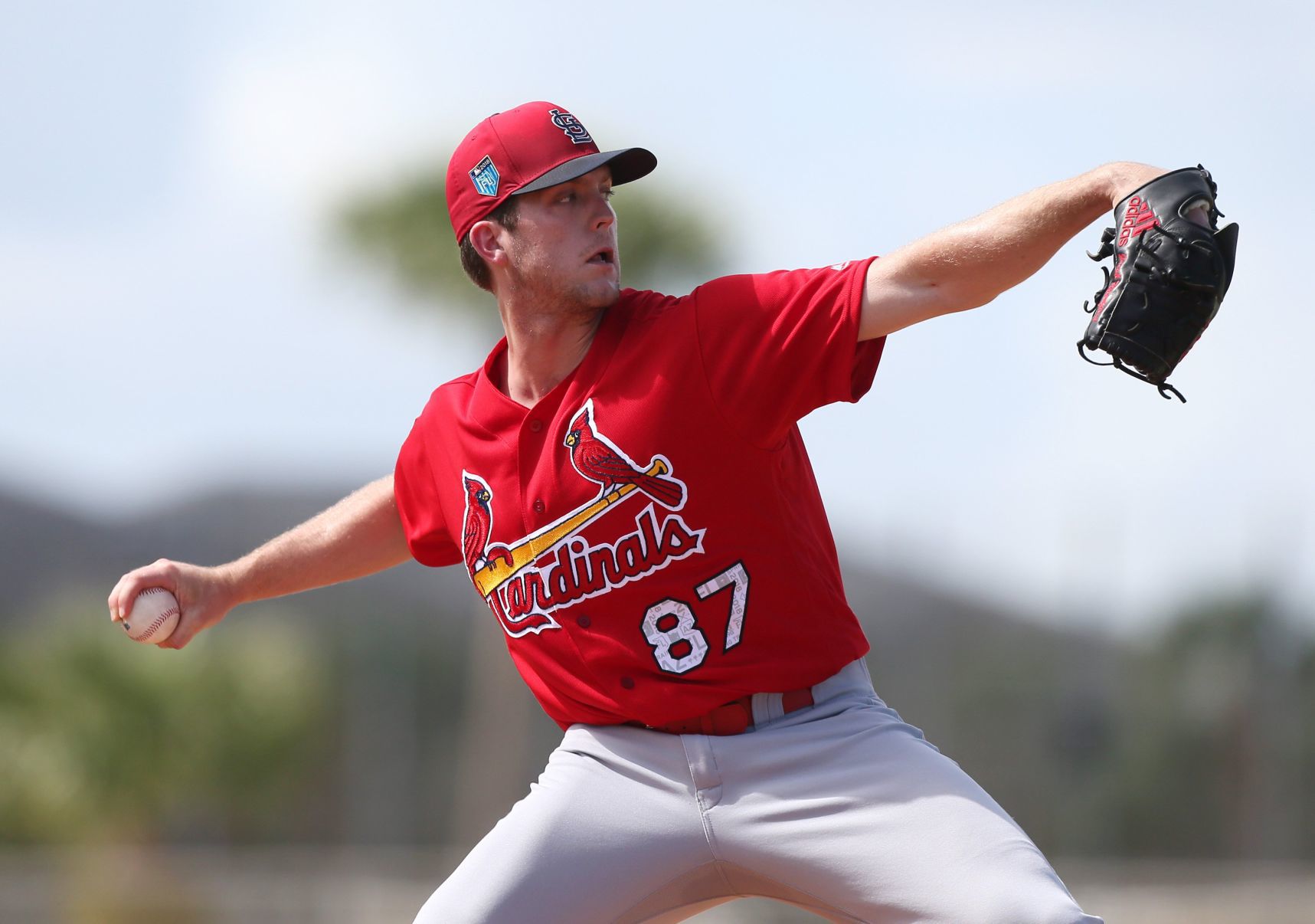 Cardinals spring training